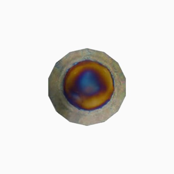 Single Large Plates - Image 2